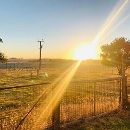 Pleasant Hill Bnb Mount Gambier Eksteriør billede