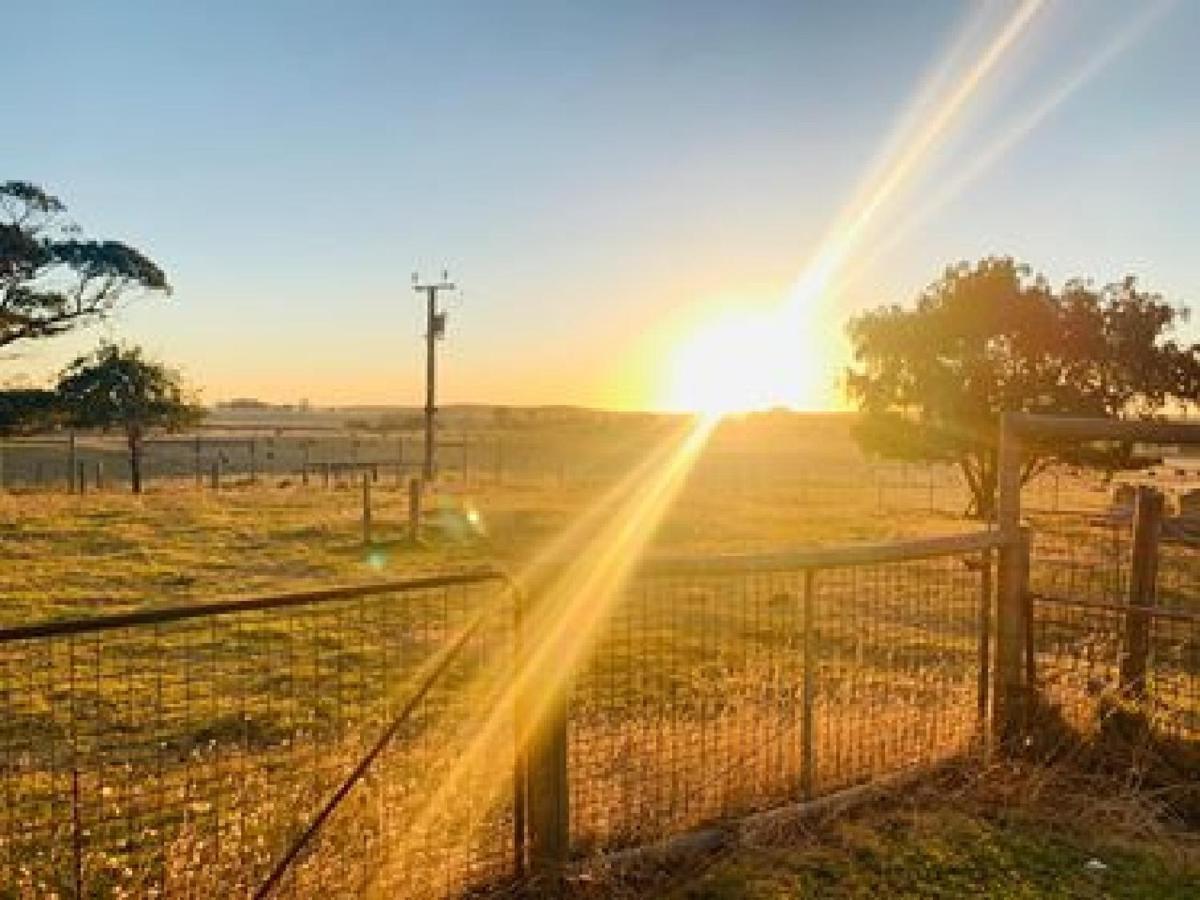 Pleasant Hill Bnb Mount Gambier Eksteriør billede